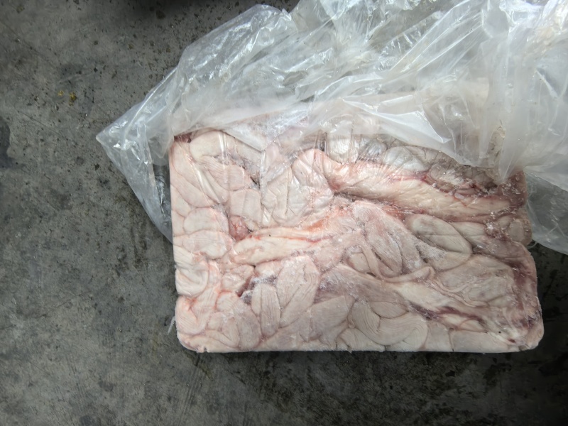 肥猪带把大花肠