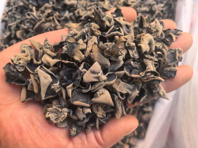 1.5特级木耳
