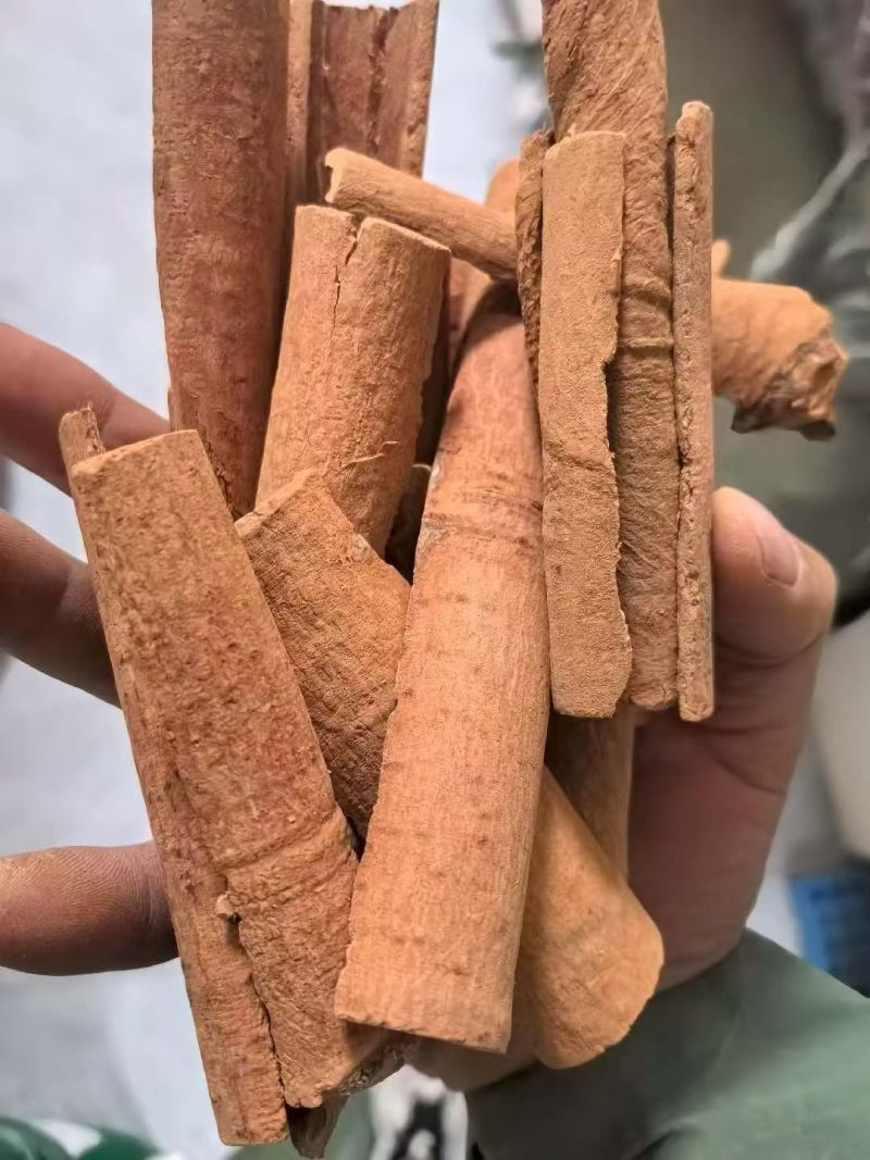 烟桂