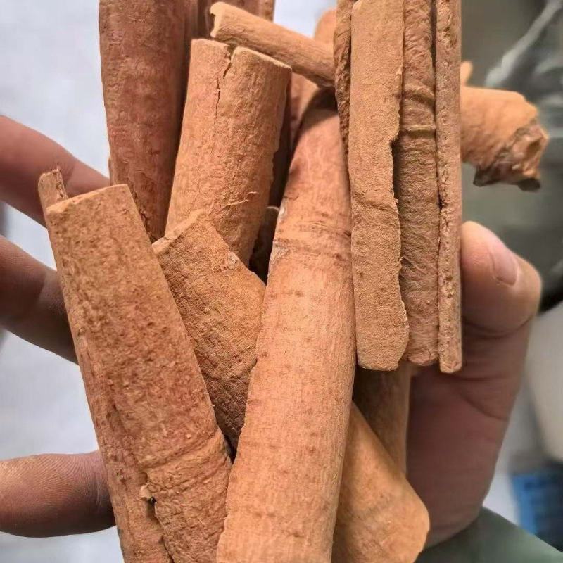 烟桂
