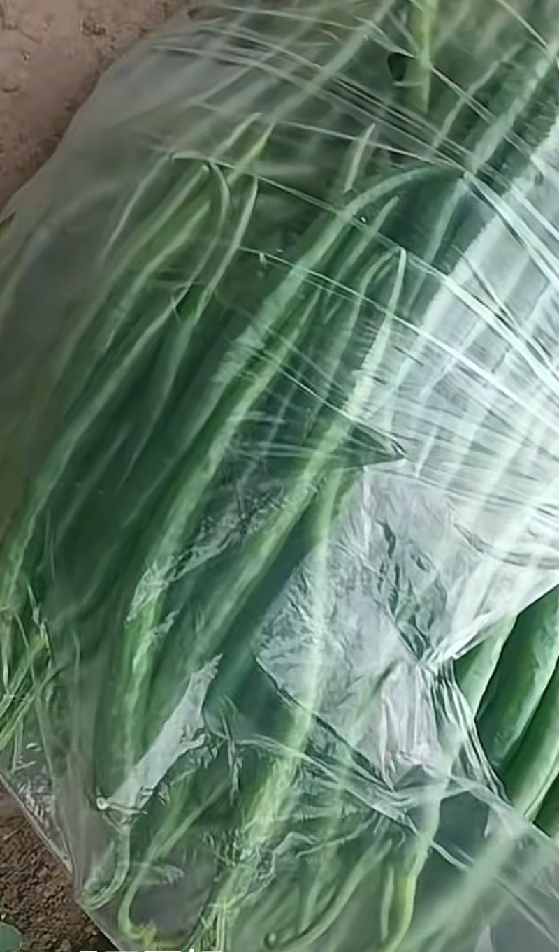 新鲜二荆条线椒微辣荆条现摘辣椒薄皮青线农家尖椒青椒长线椒