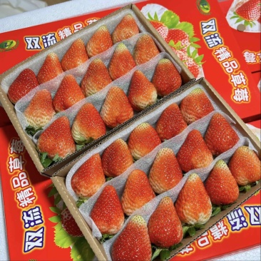云南草莓蒙特瑞烘焙果