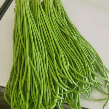 长豆角新鲜时令现摘长豆角新鲜长豇豆蔬菜嫩豆橛子现可腌制酸