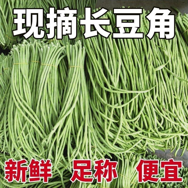 长豆角新鲜时令现摘长豆角新鲜长豇豆蔬菜嫩豆橛子现可腌制酸