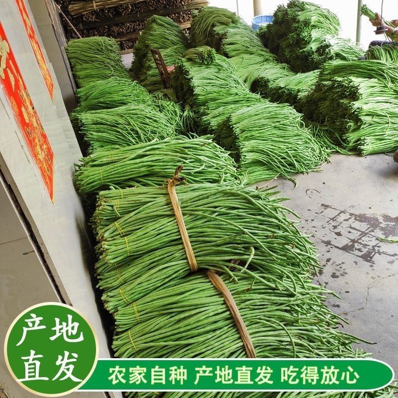 长豆角新鲜时令现摘长豆角新鲜长豇豆蔬菜嫩豆橛子现可腌制酸