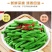 长豆角新鲜时令现摘长豆角新鲜长豇豆蔬菜嫩豆橛子现可腌制酸