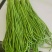 长豆角新鲜时令现摘长豆角新鲜长豇豆蔬菜嫩豆橛子现可腌制酸