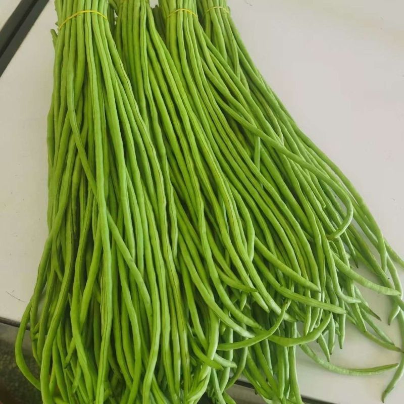 长豆角新鲜时令现摘长豆角新鲜长豇豆蔬菜嫩豆橛子现可腌制酸