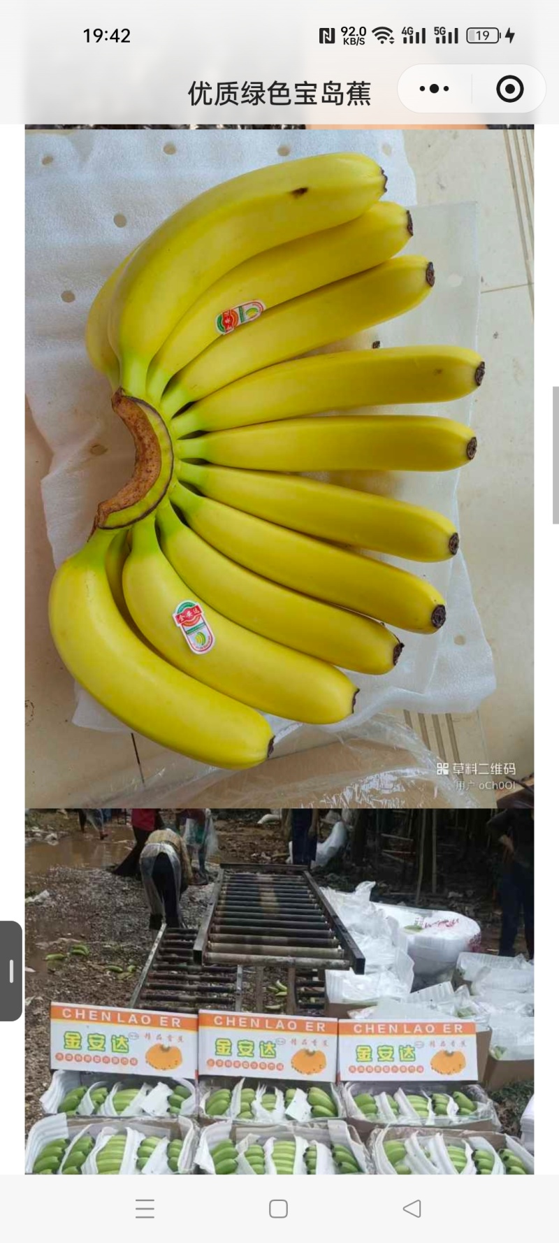 香蕉