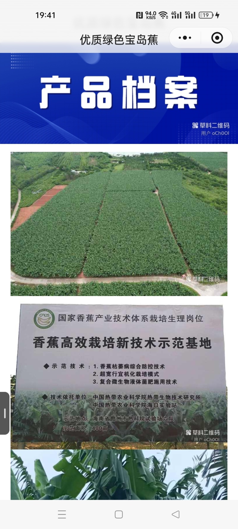 香蕉
