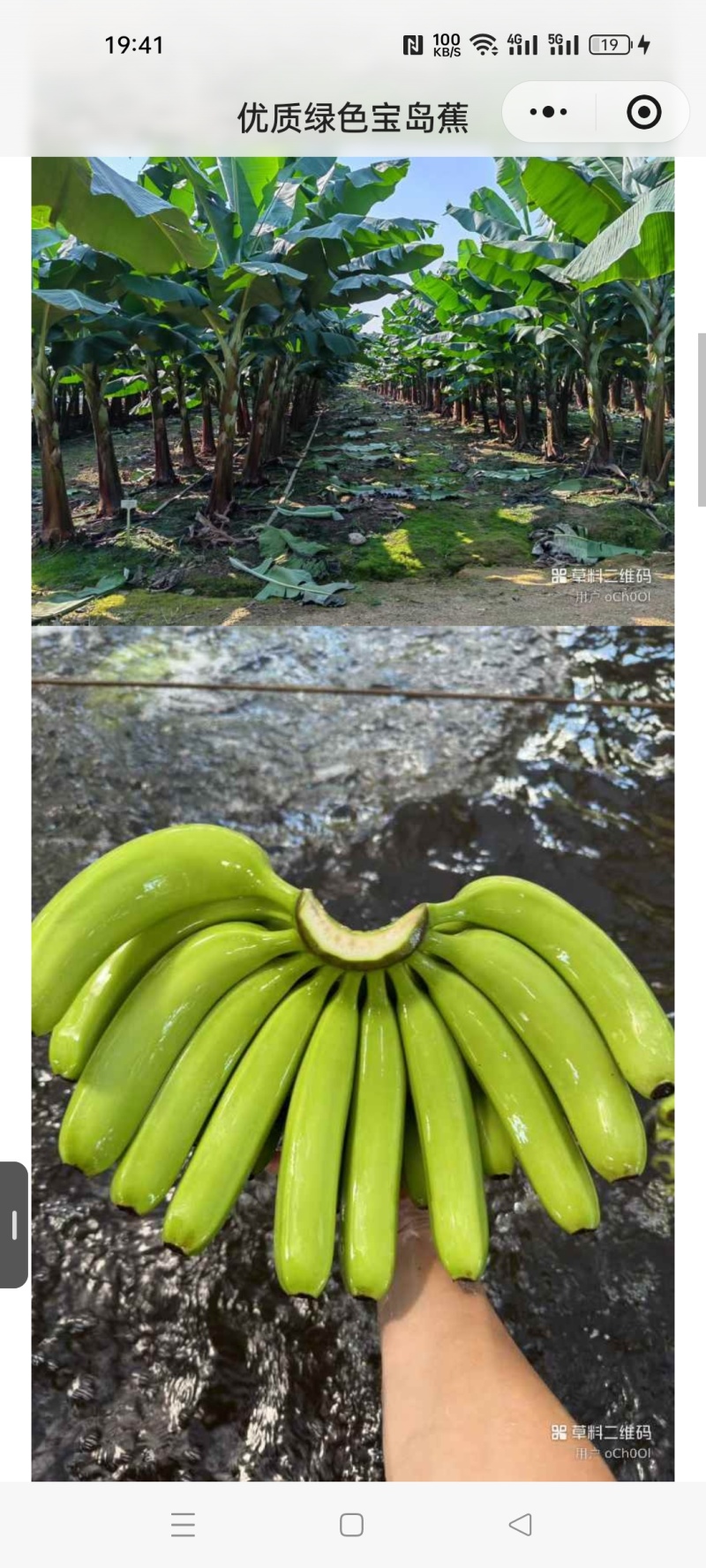 香蕉
