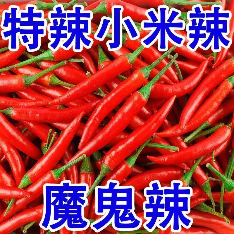 新鲜小米辣小米辣椒小米椒蔬菜魔鬼辣椒新鲜辣椒特辣巨辣红辣