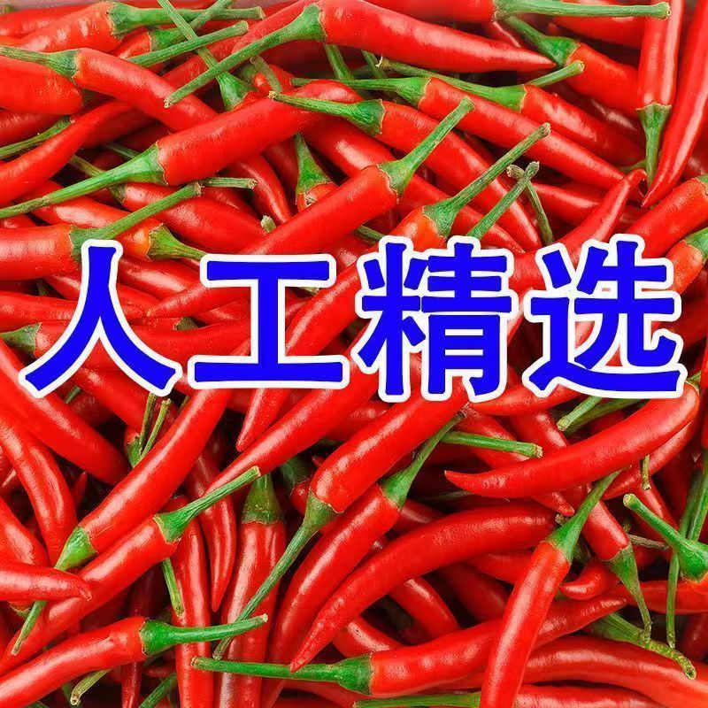 新鲜小米辣小米辣椒小米椒蔬菜魔鬼辣椒新鲜辣椒特辣巨辣红辣