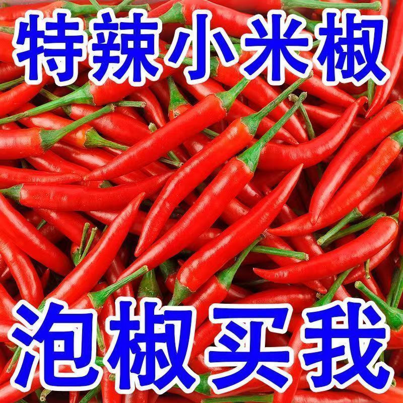 新鲜小米辣小米辣椒小米椒蔬菜魔鬼辣椒新鲜辣椒特辣巨辣红辣