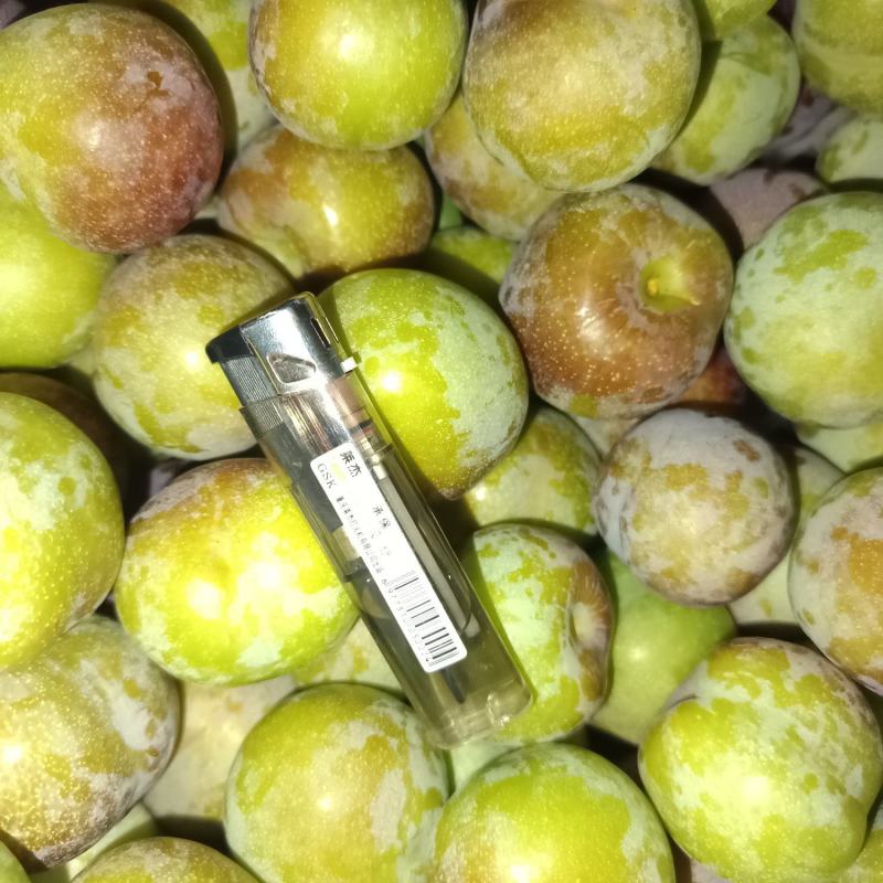 精品四川半边红李子