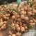 135凉薯水洗白，5759不洗水，5938红泥土的