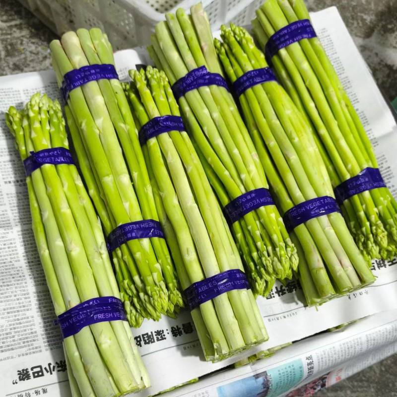 《好评如潮》头茬鲜嫩绿芦笋规格齐全价格从优