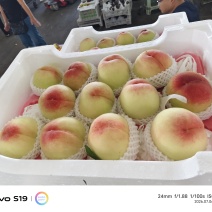 水蜜桃白凤桃