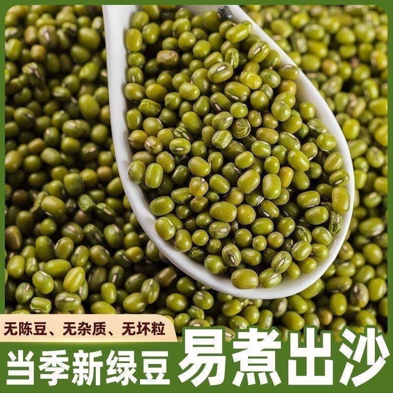 绿豆新鲜可发芽农家新货颗粒绿豆煮粥优原料原产