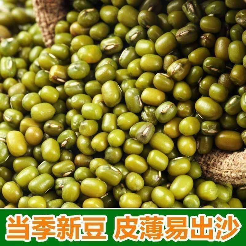 绿豆新鲜可发芽农家新货颗粒绿豆煮粥优原料原产