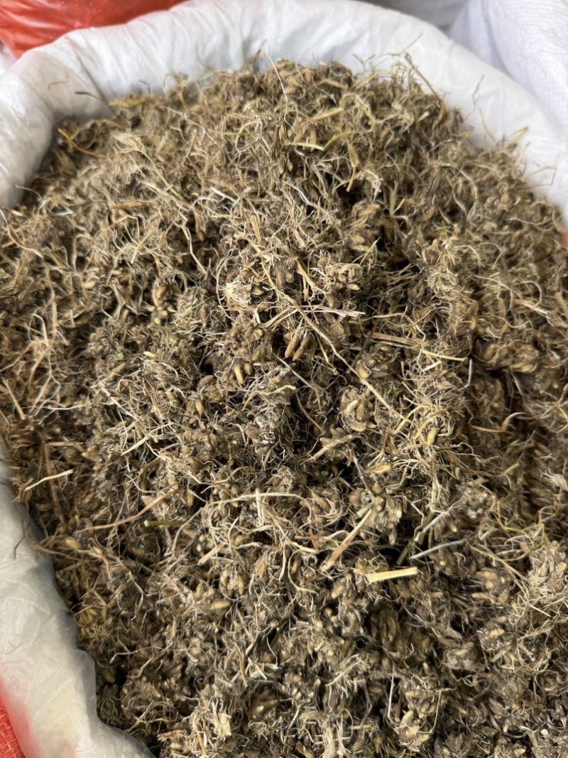 纯野生猫爪草正宗尖爪精品货正品中药材泡水产地直销价批发