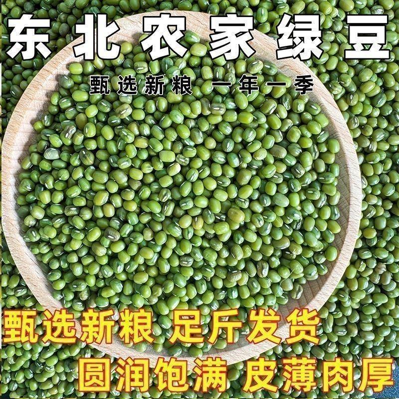 东北绿豆新鲜可发芽农家新货颗粒绿豆煮粥优原料原产B
