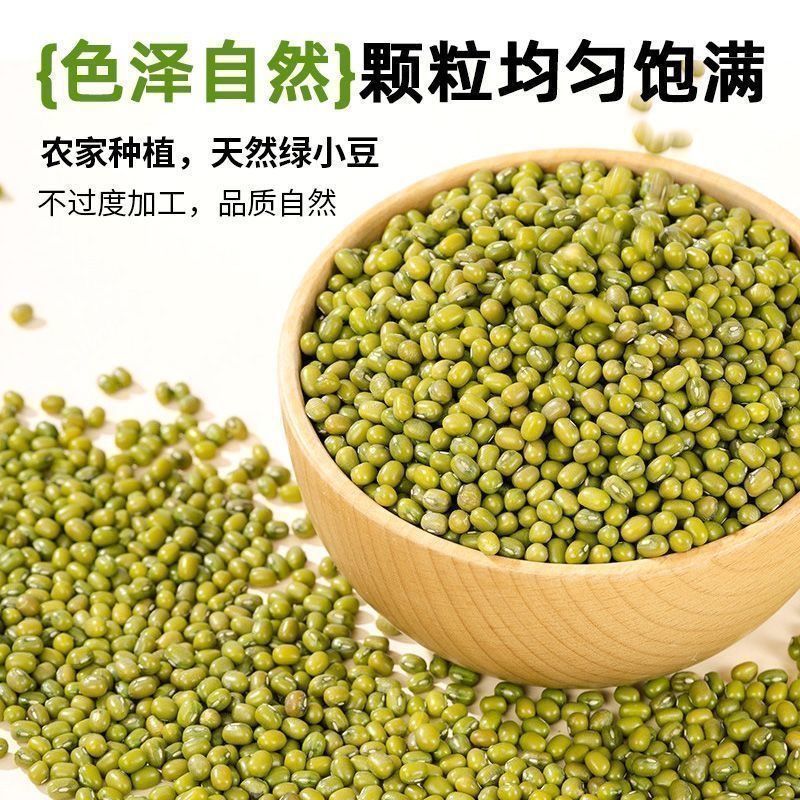 东北绿豆新鲜可发芽农家新货颗粒绿豆煮粥优原料原产B