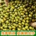 东北绿豆新鲜可发芽农家新货颗粒绿豆煮粥优原料原产B
