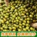 东北绿豆新鲜可发芽农家新货颗粒绿豆煮粥优原料原产B