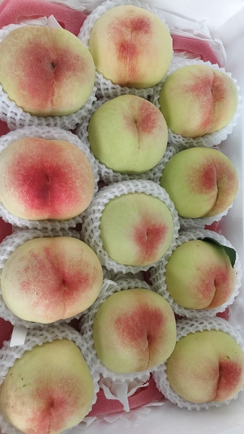 白凤水蜜桃（青桃），中桃五水蜜桃