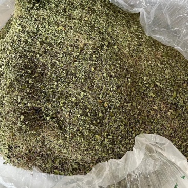 马蹄金小叶金钱草水洗货