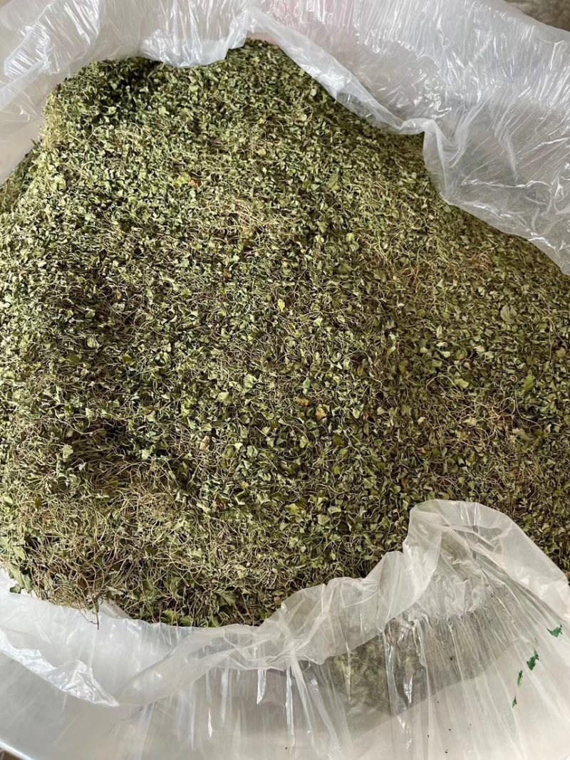 马蹄金小叶金钱草水洗货