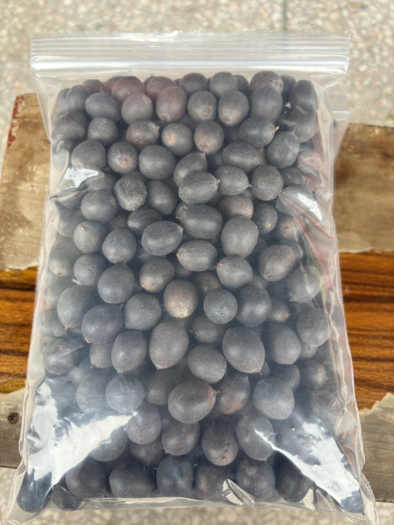 带壳老莲子。可以做手串。种植。磨皮白莲
