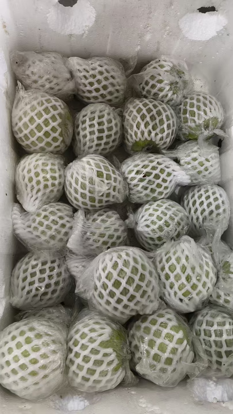 自家果园番石榴，西瓜红，珍珠白。可发全国各地。欢迎打扰