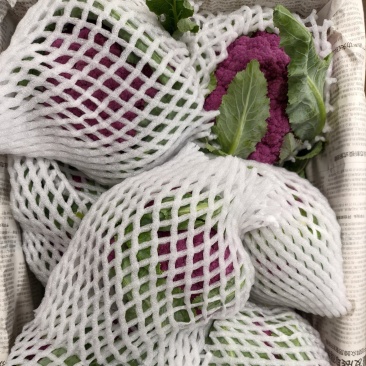 紫花菜