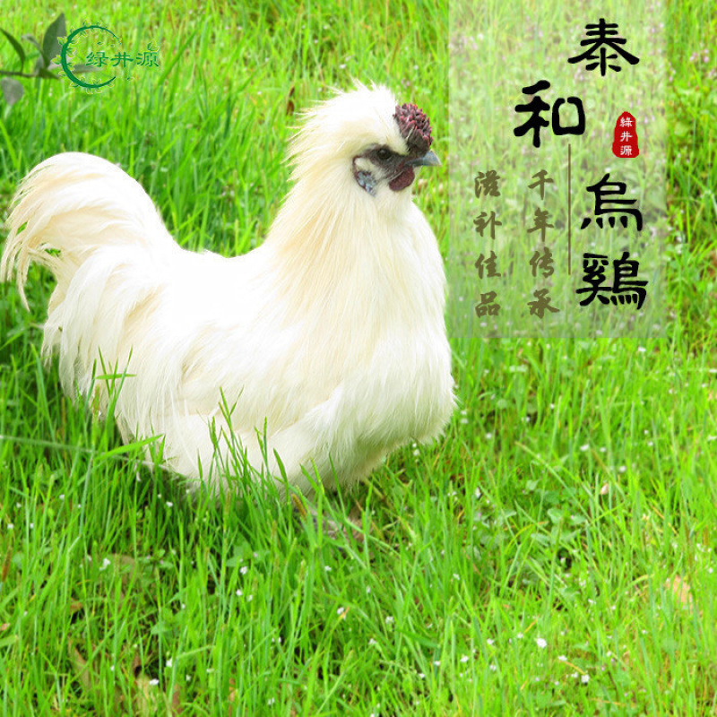 泰和乌鸡
