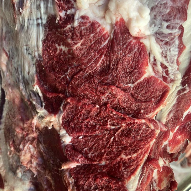 纯干大牛牛肉，整牛