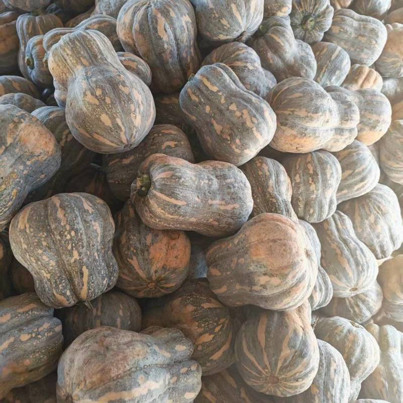 小金香花生南瓜大量上市全黄，个头均匀口感糯甜产地直发