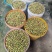 带壳新莲子。青莲子。种植户。可上门看货。源头产地