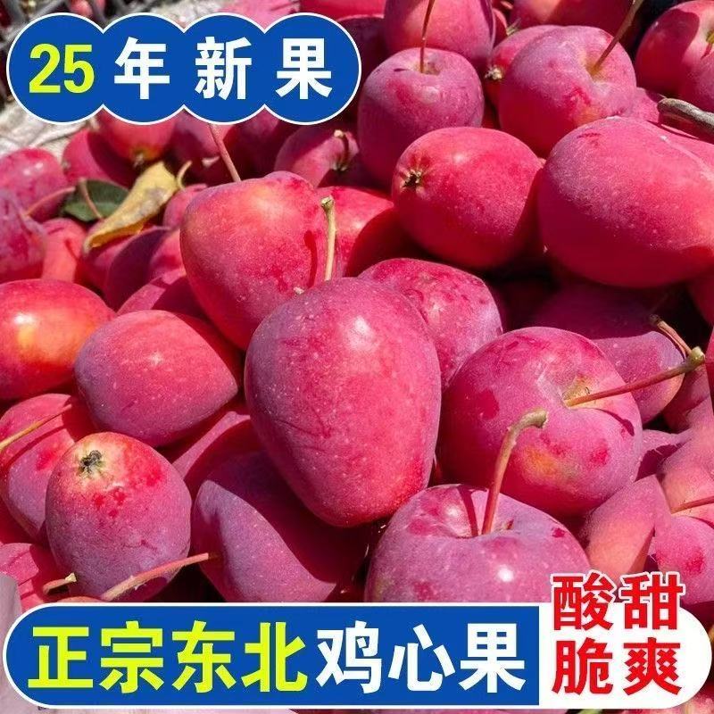 东北各种小苹果接连上市产地直发价格合理质量保证