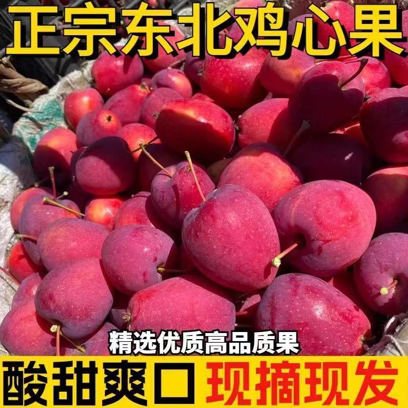 东北各种小苹果接连上市产地直发价格合理质量保证