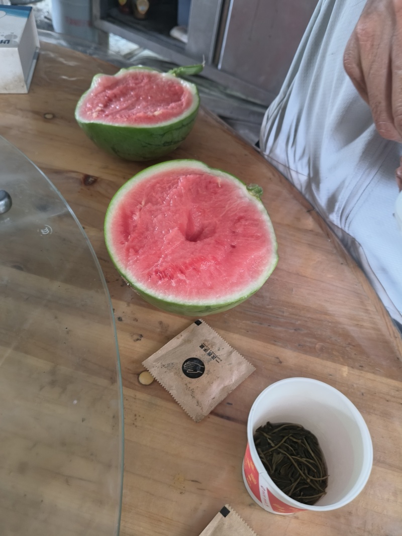 小型无籽西瓜