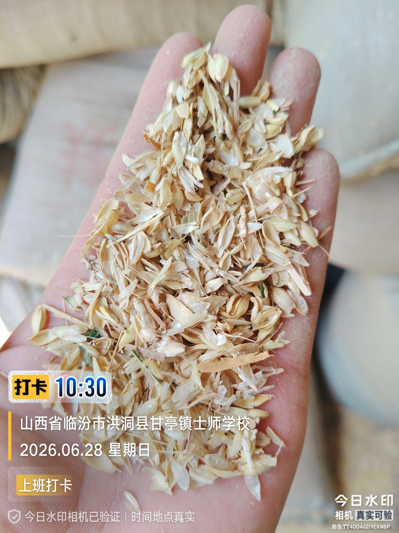 麦糠，牛，羊，能吃。麦土鸡，鸭，鹅，能吃。麦土便宜。