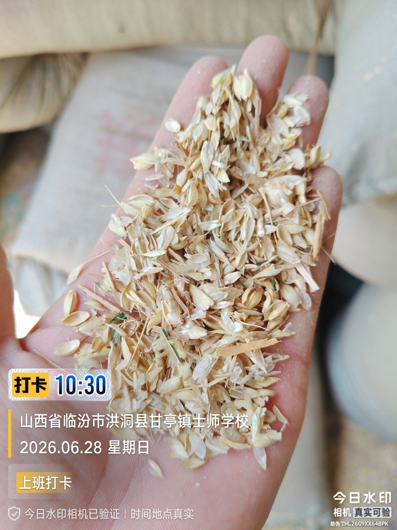 麦糠，牛，羊，能吃。麦土鸡，鸭，鹅，能吃。麦土便宜。