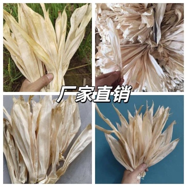 玉米叶产直批
