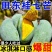 广西桂七大量上市支持线上线下一件代发品质保证