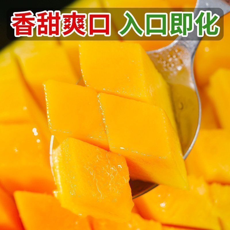 广西桂七大量上市支持线上线下一件代发品质保证