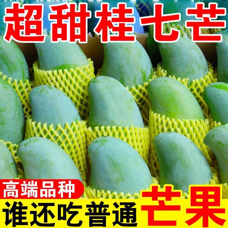广西桂七大量上市支持线上线下一件代发品质保证