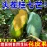 广西桂七大量上市支持线上线下一件代发品质保证