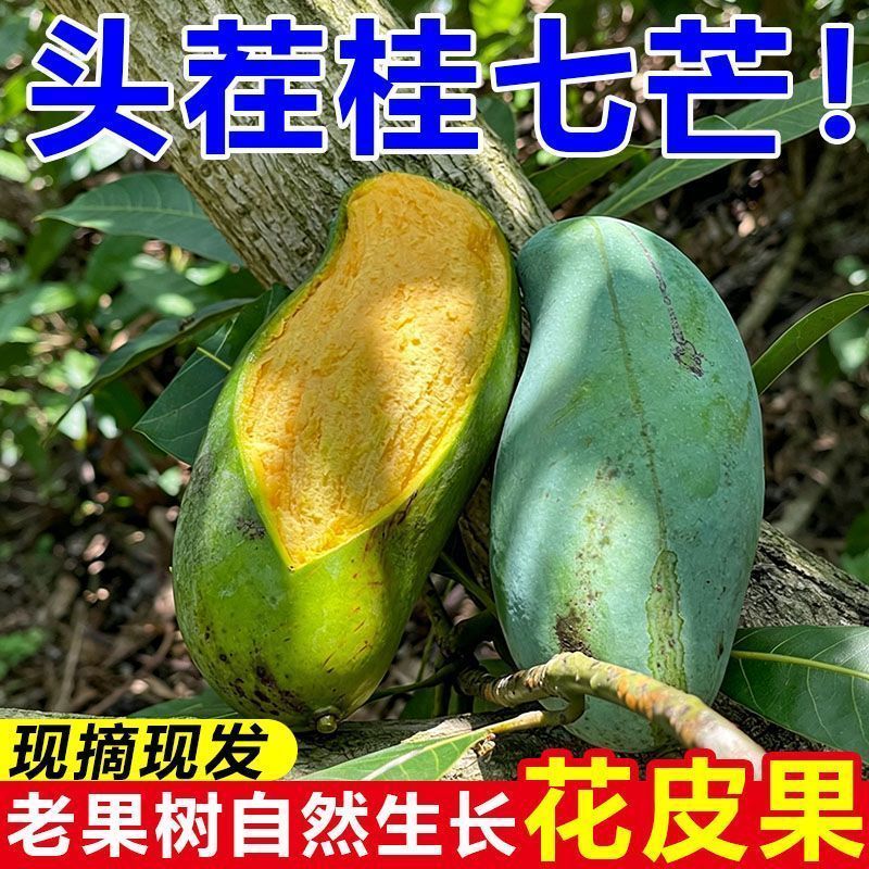 广西桂七大量上市支持线上线下一件代发品质保证
